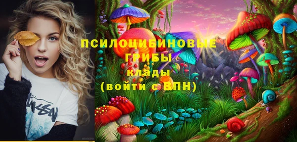 а пвп мука Гусиноозёрск