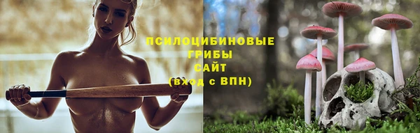 индика Волоколамск