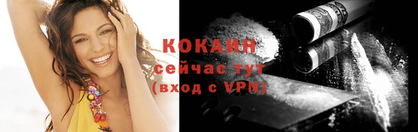 прущие грибы Абинск