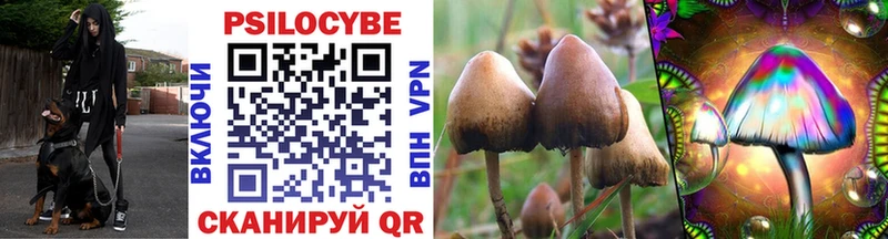 Галлюциногенные грибы GOLDEN TEACHER  дарнет шоп  Зуевка 