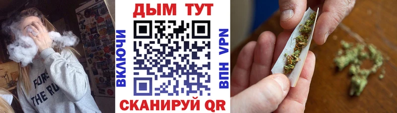 Конопля семена  Зуевка 